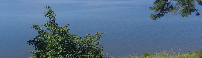 banner_img